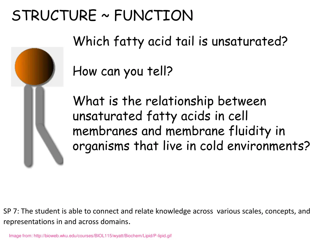 structure function