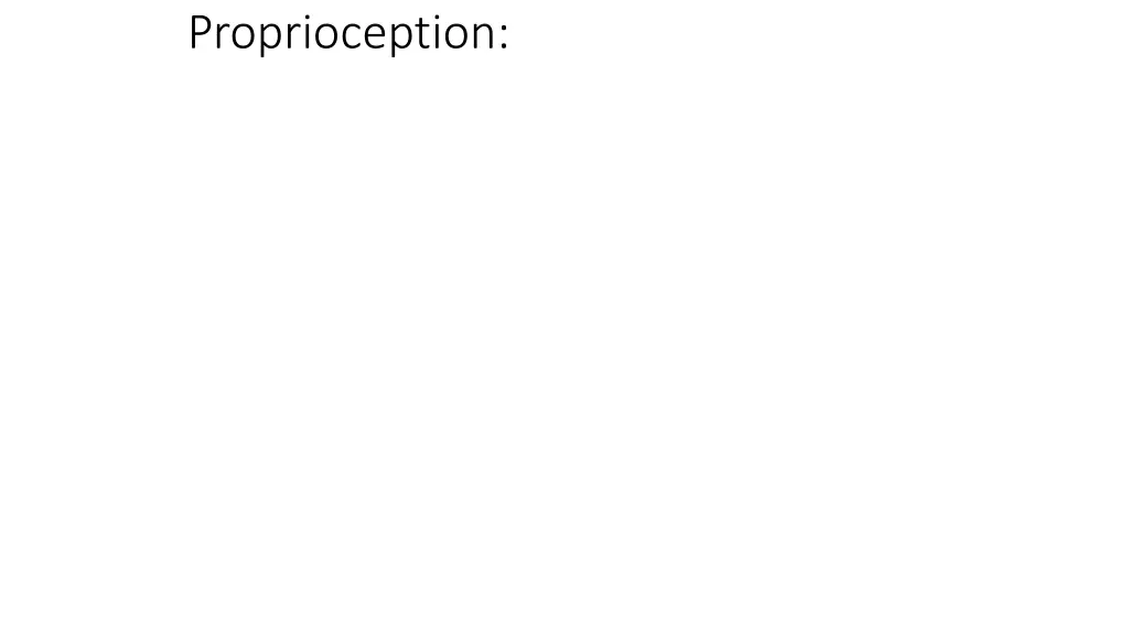 proprioception