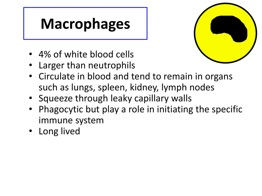 macrophages