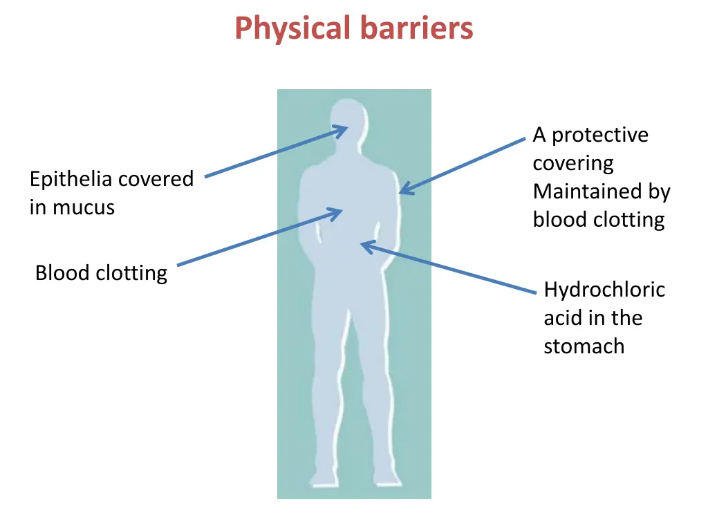 physical barriers