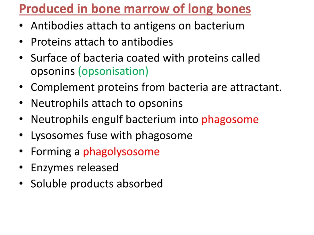 produced in bone marrow of long bones antibodies
