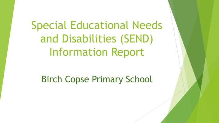 special educational needs and disabilities send