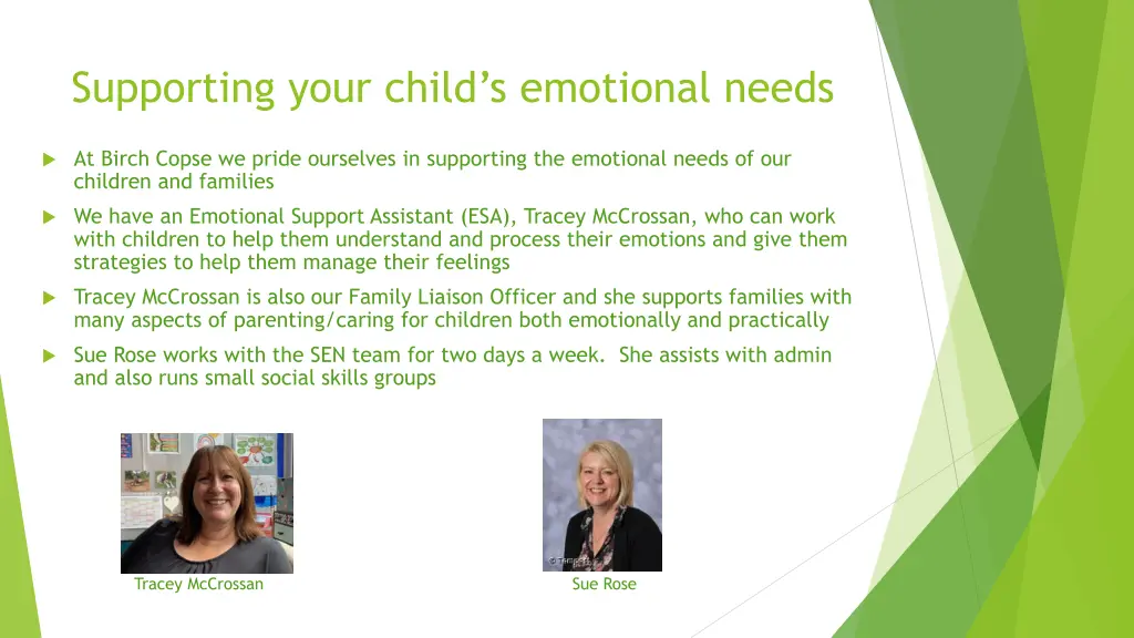 supporting your child s emotional needs