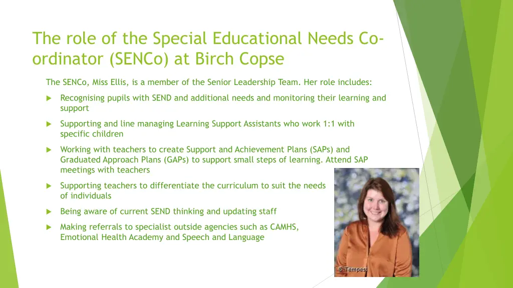 the role of the special educational needs