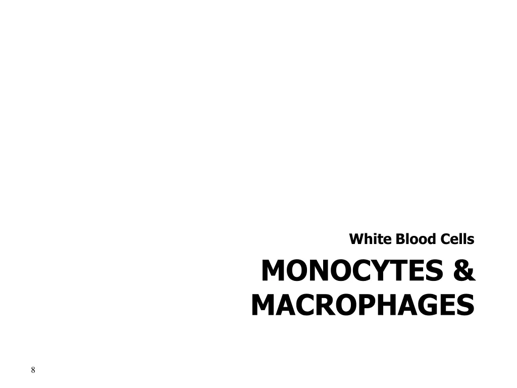white blood cells 1