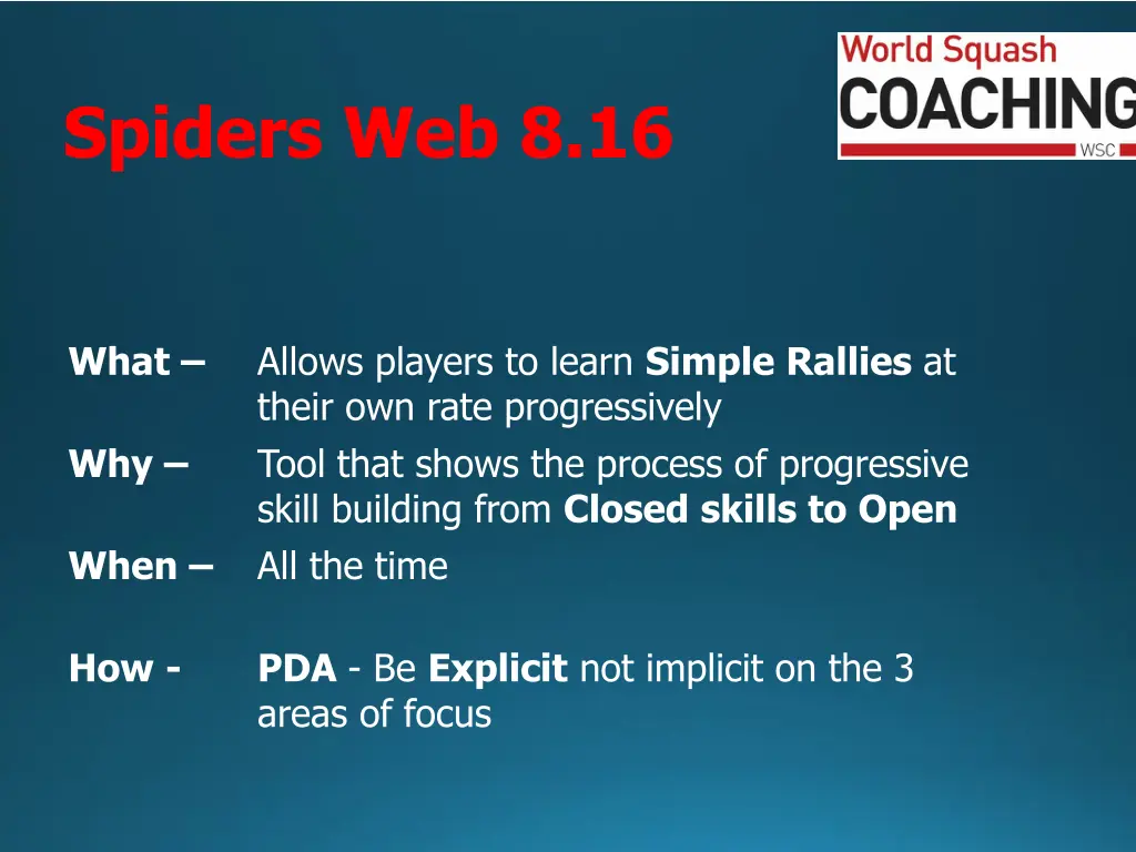 spiders web 8 16