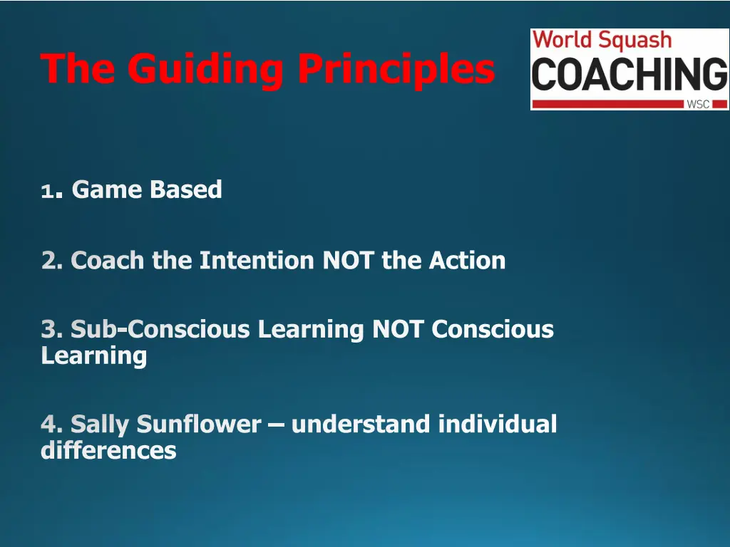 the guiding principles
