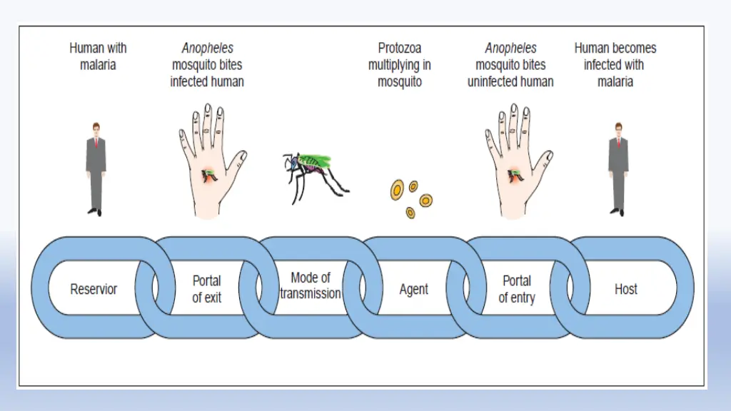 slide13