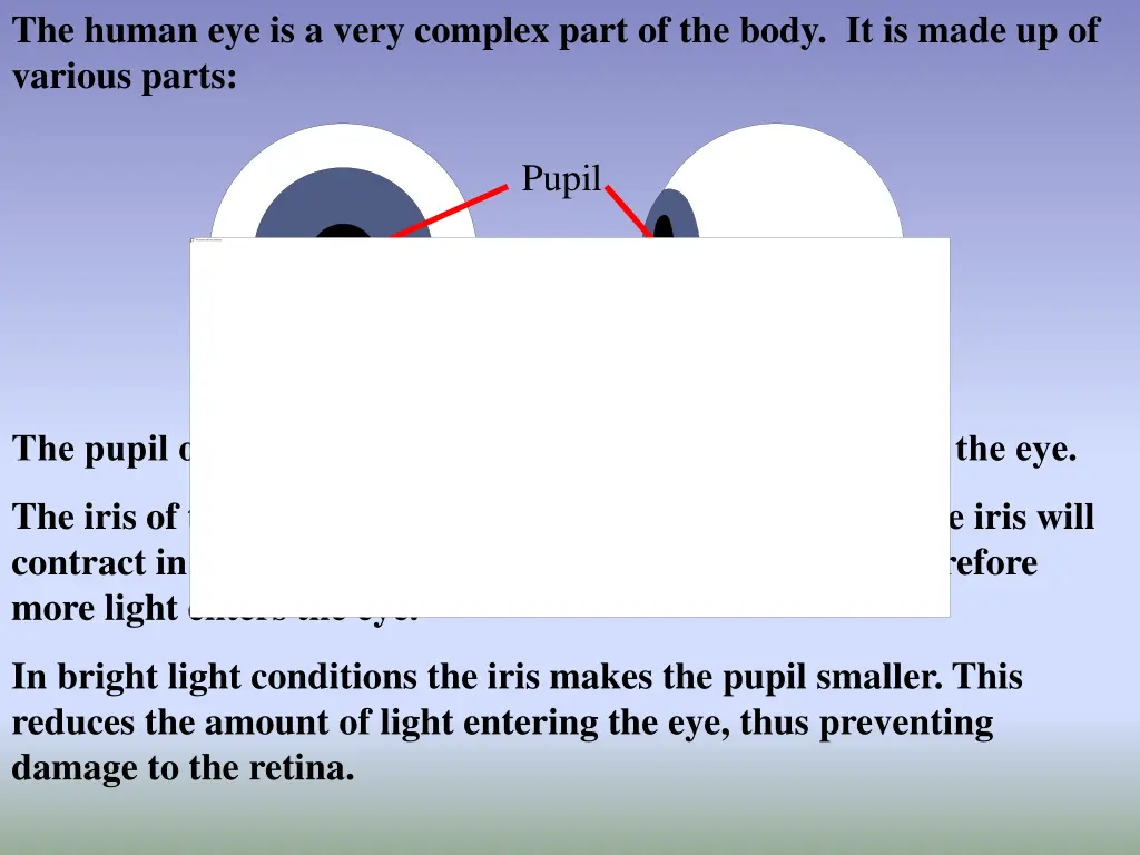the human eye is a very complex part of the body