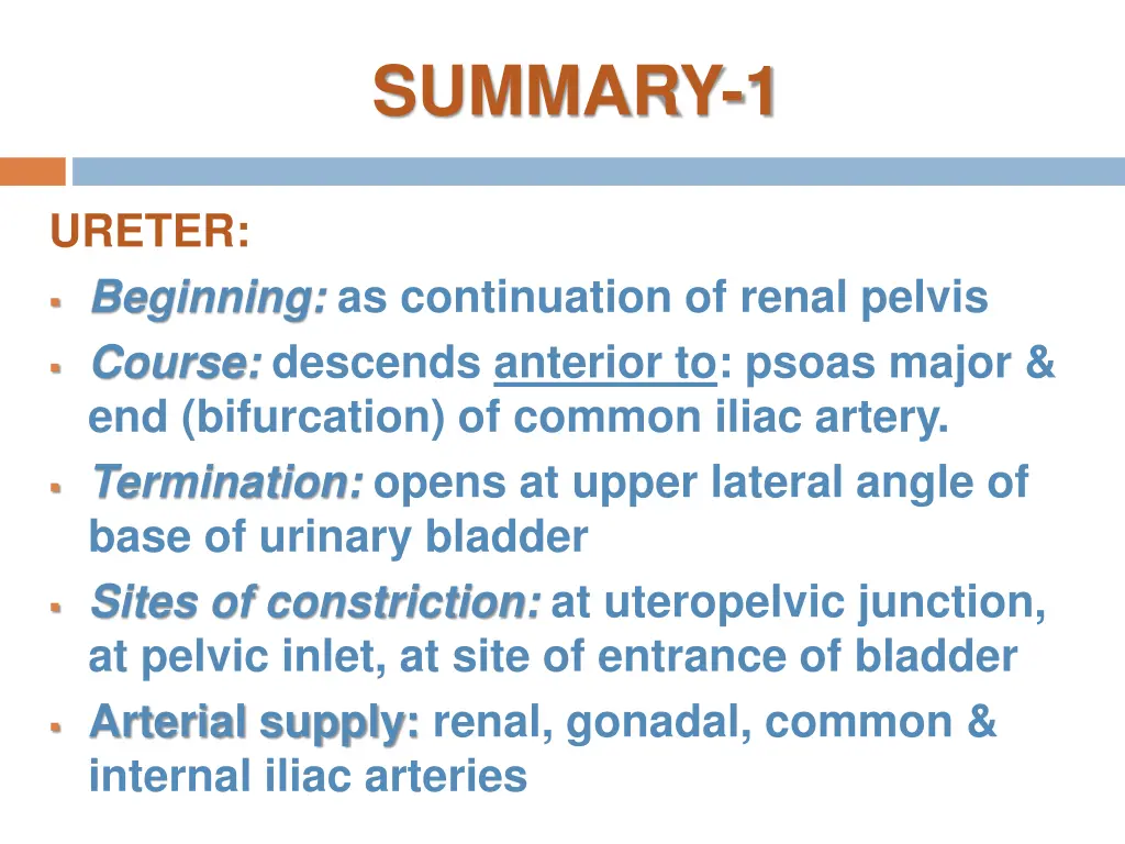summary 1