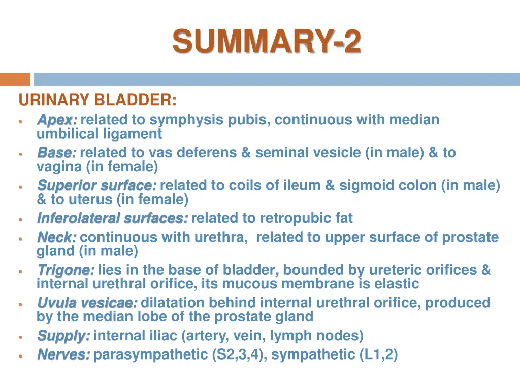 summary 2