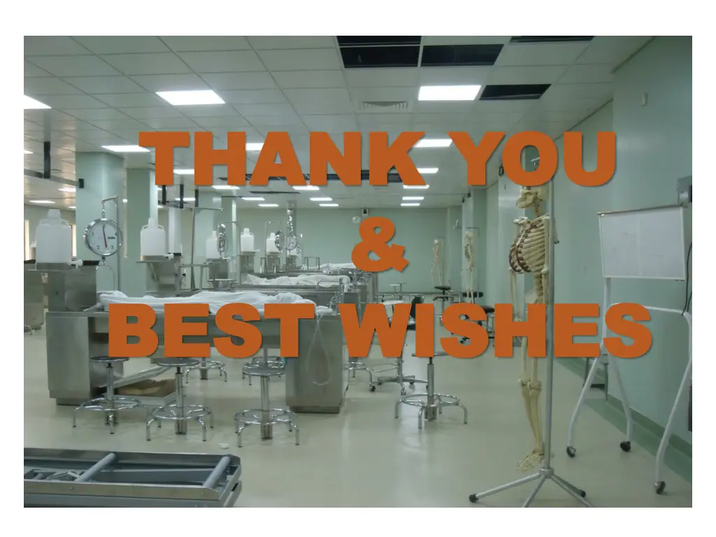thank you thank you best wishes best wishes