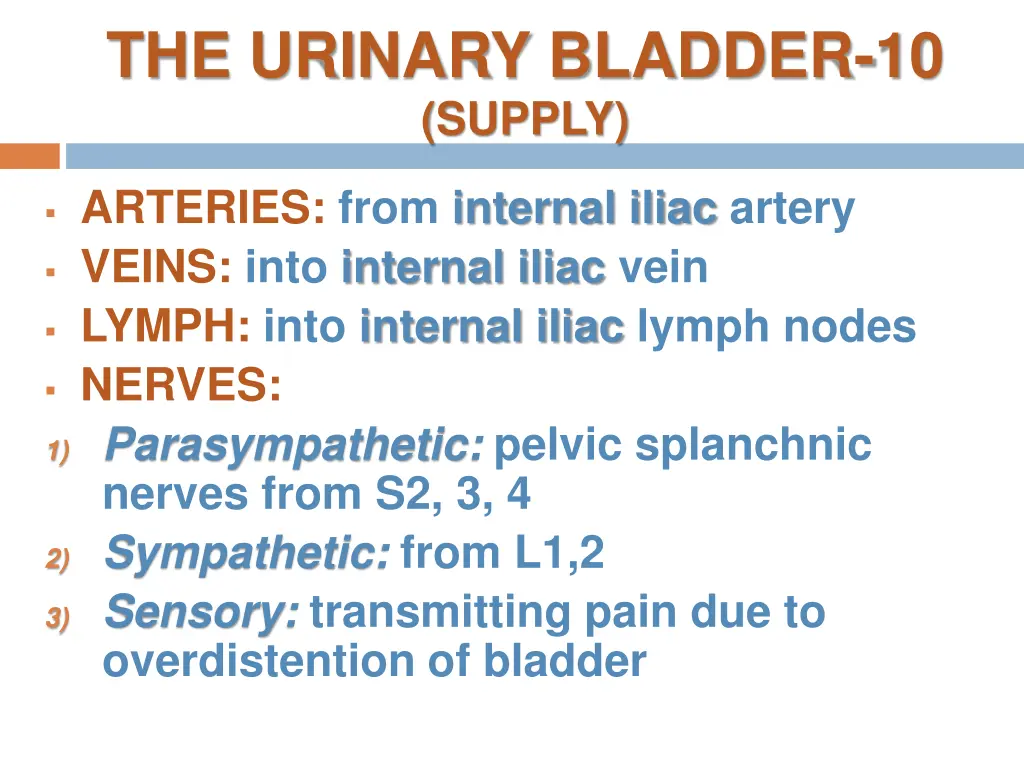 the urinary bladder 10 supply