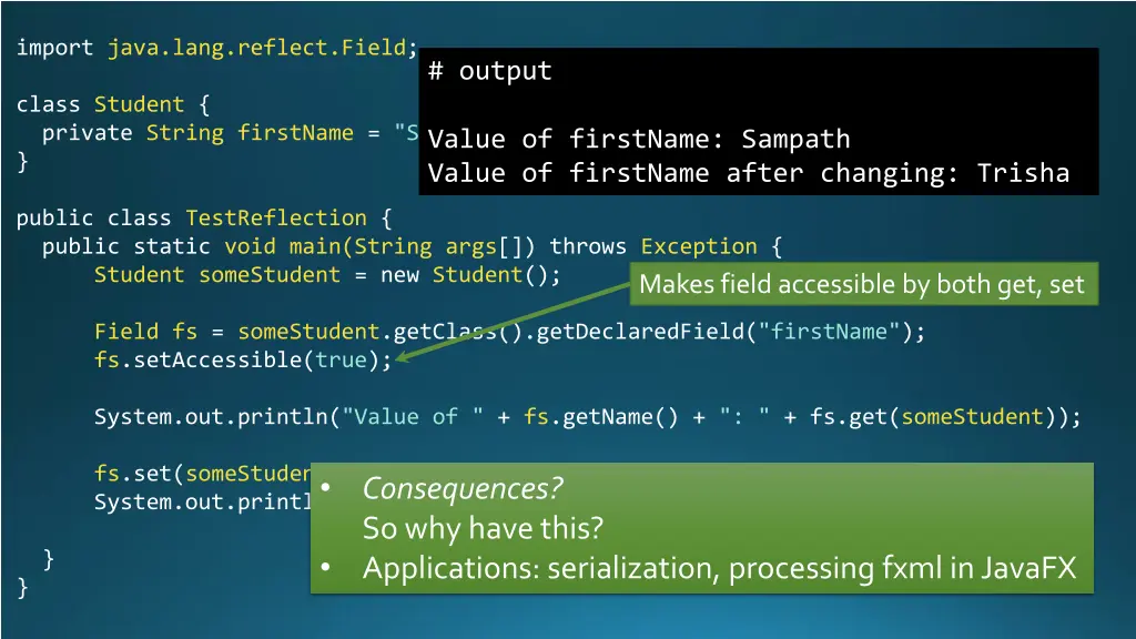 import java lang reflect field