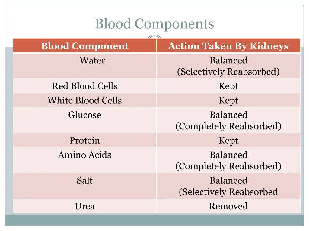 blood components 2