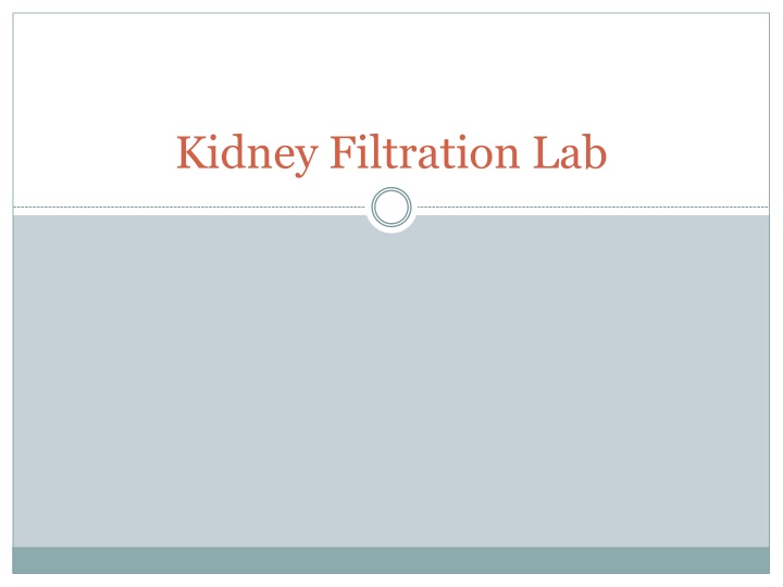 kidney filtration lab