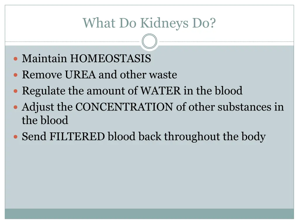 what do kidneys do