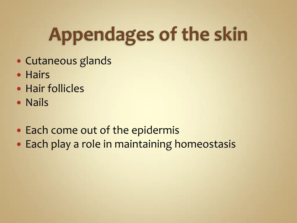 cutaneous glands hairs hair follicles nails