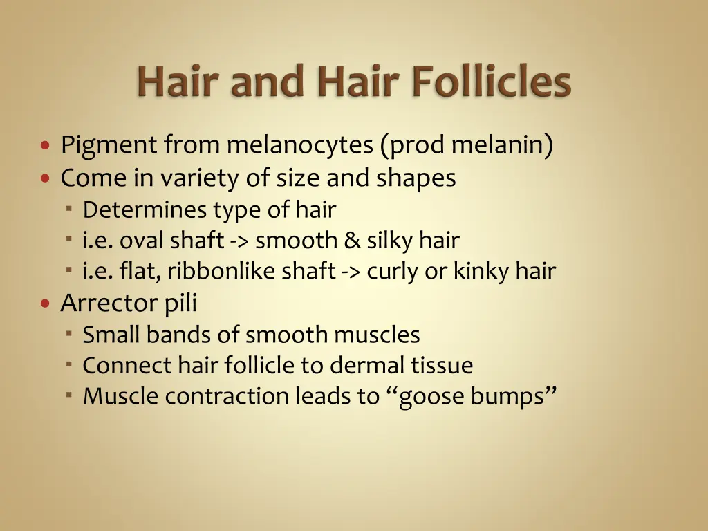 pigment from melanocytes prod melanin come