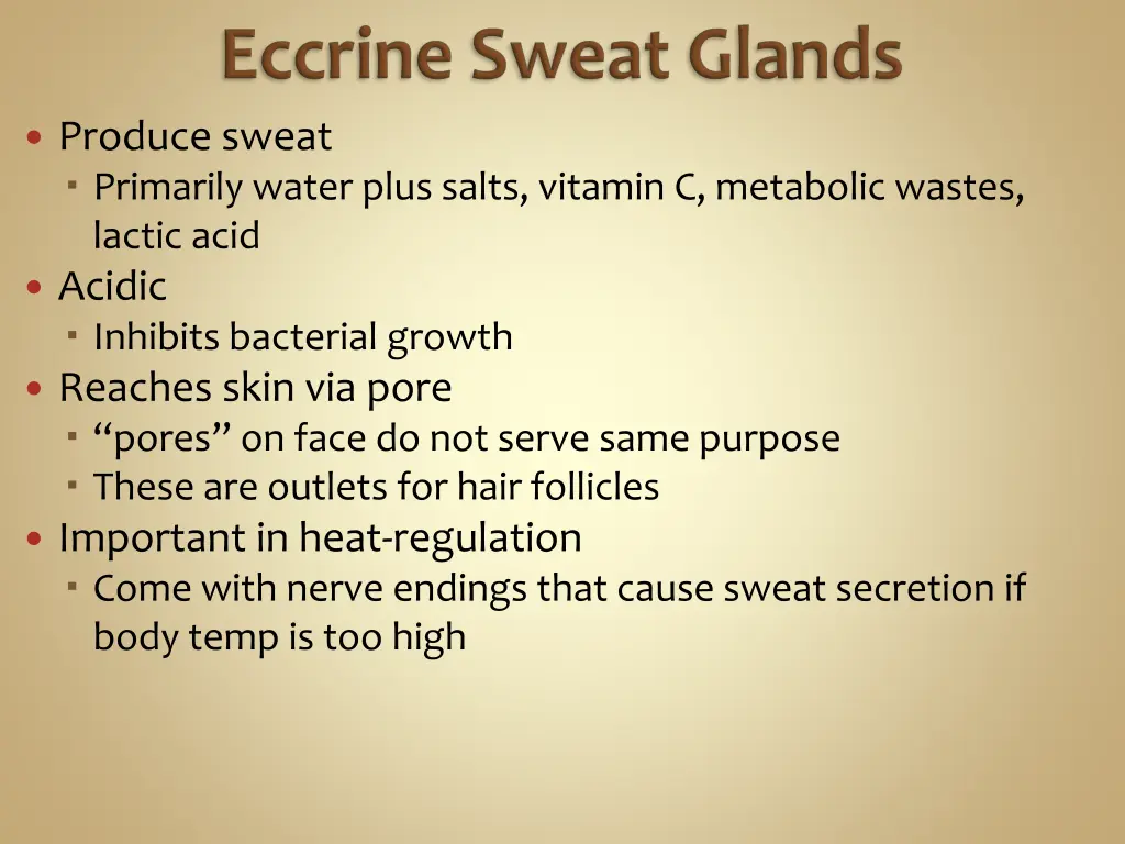 produce sweat primarily water plus salts vitamin