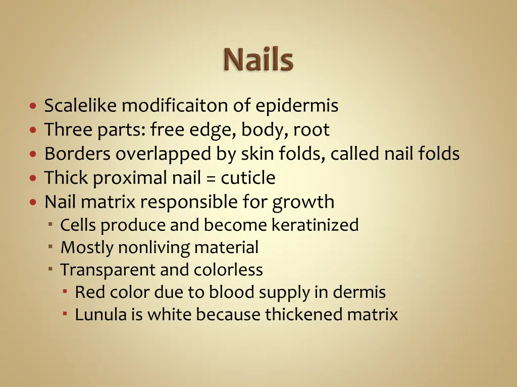 scalelike modificaiton of epidermis three parts