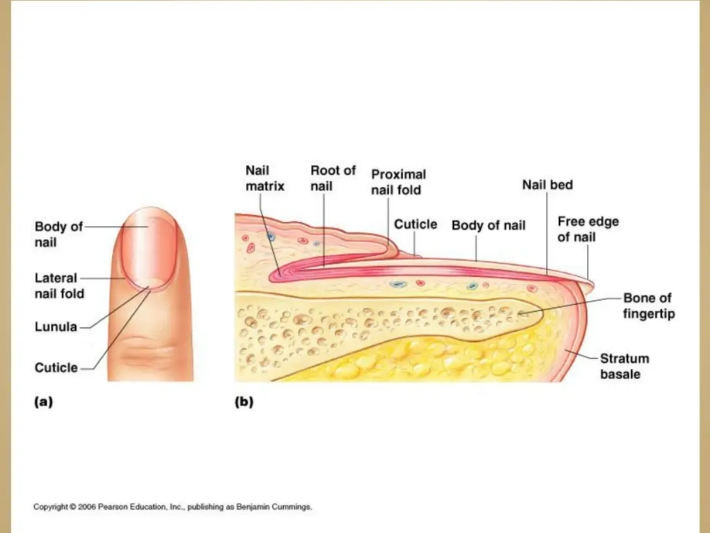 slide20