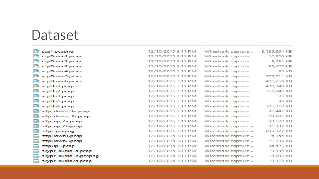 dataset 1