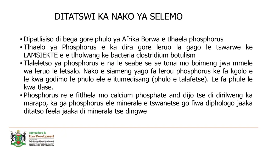 ditatswi ka nako ya selemo
