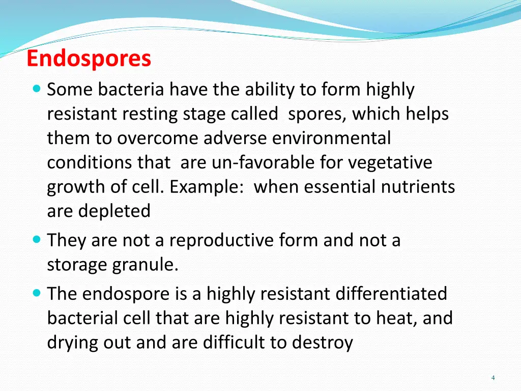 endospores