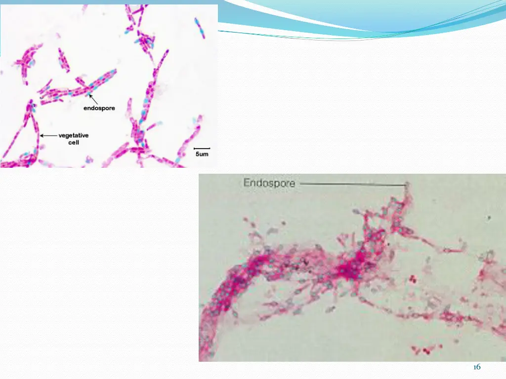 slide16