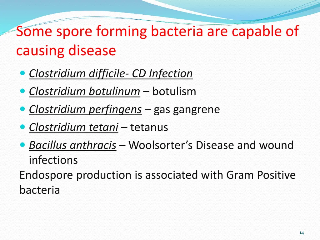 some spore forming bacteria are capable