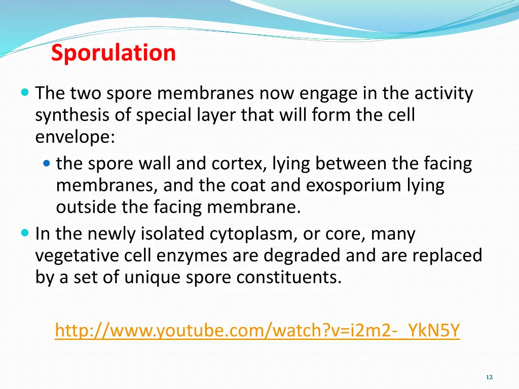 sporulation 2