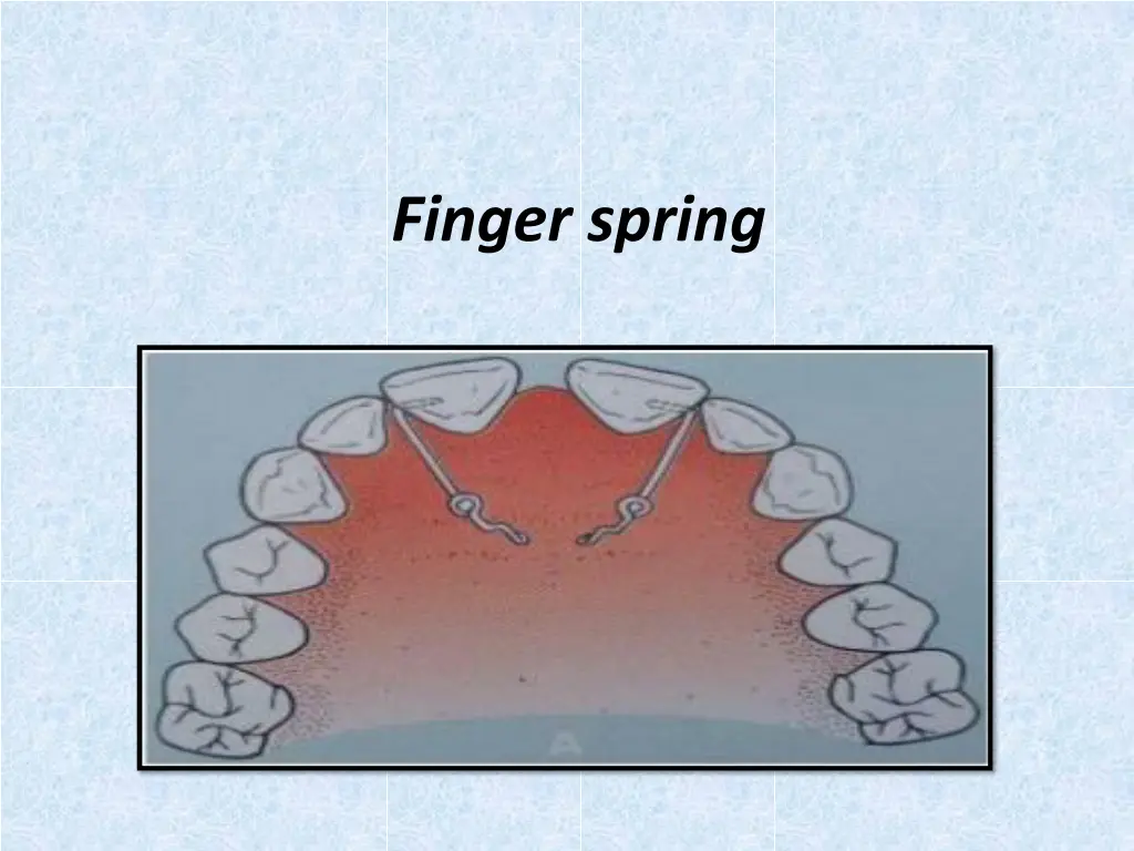 finger spring 1