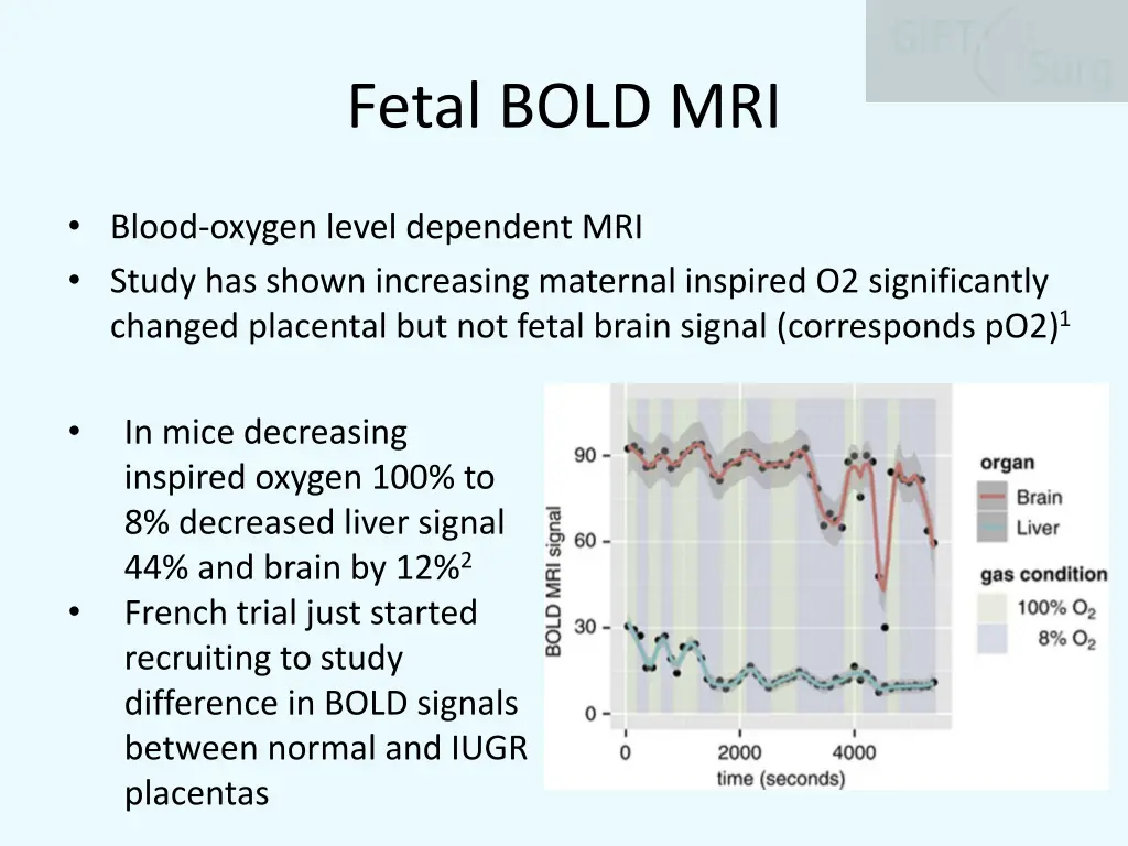 fetal bold mri
