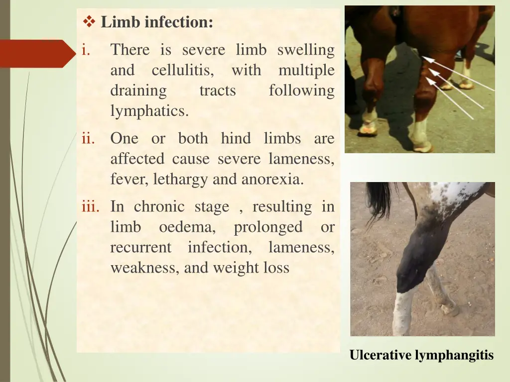 limb infection i there is severe limb swelling