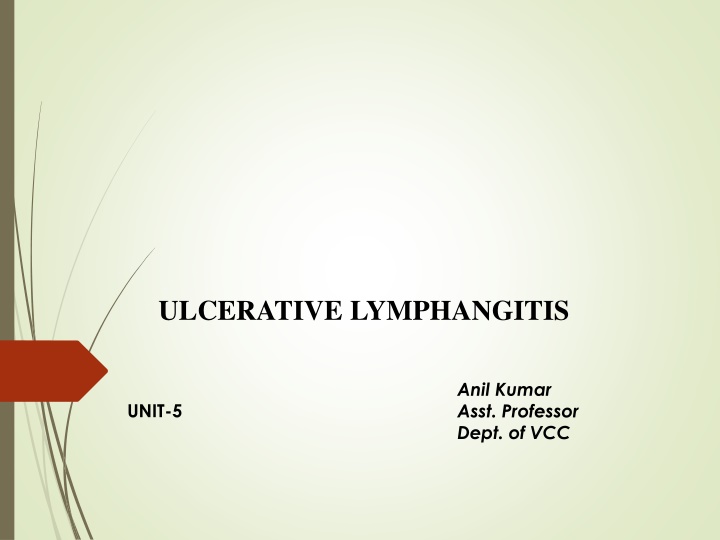 ulcerative lymphangitis