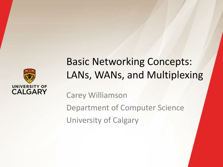 basic networking concepts lans wans