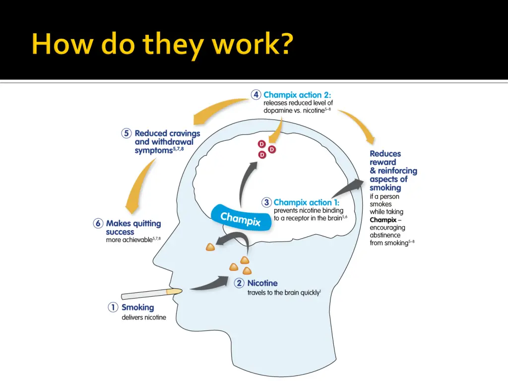 slide25