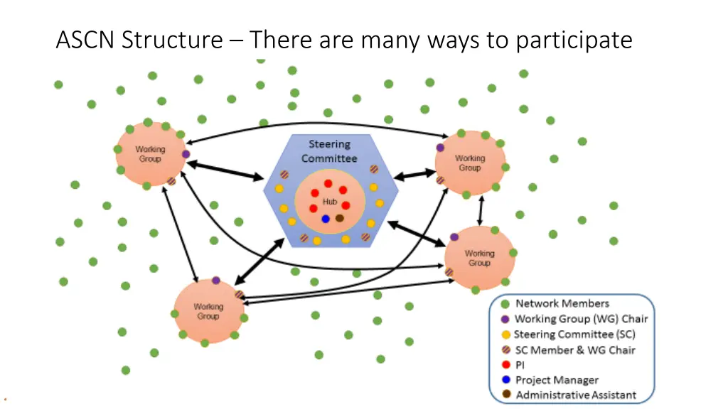 ascn structure there are many ways to participate