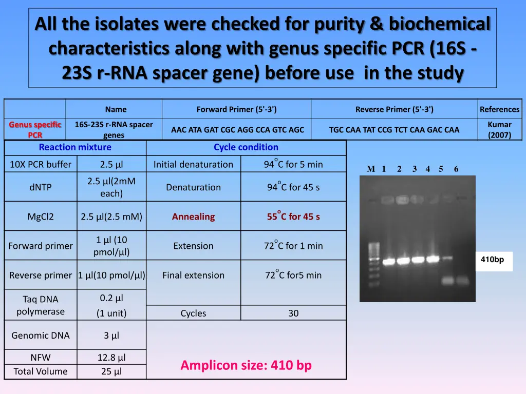 all the isolates were checked for purity