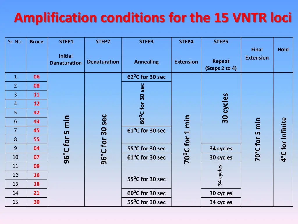 amplification conditions for the 15 vntr loci