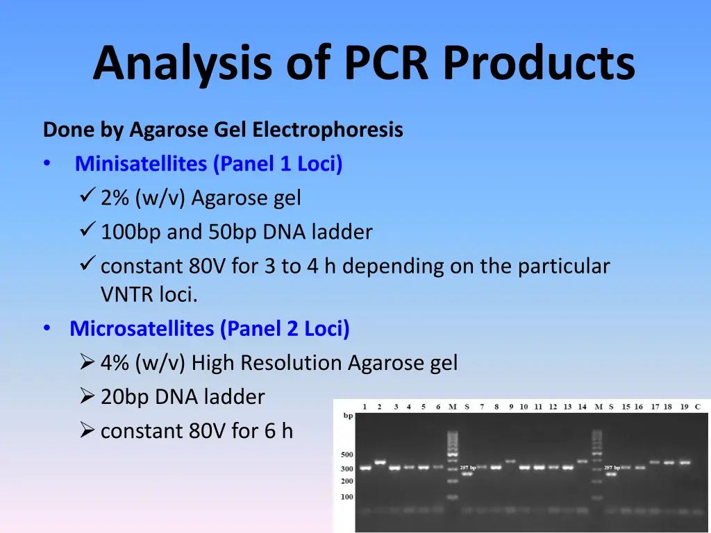 analysis of pcr products