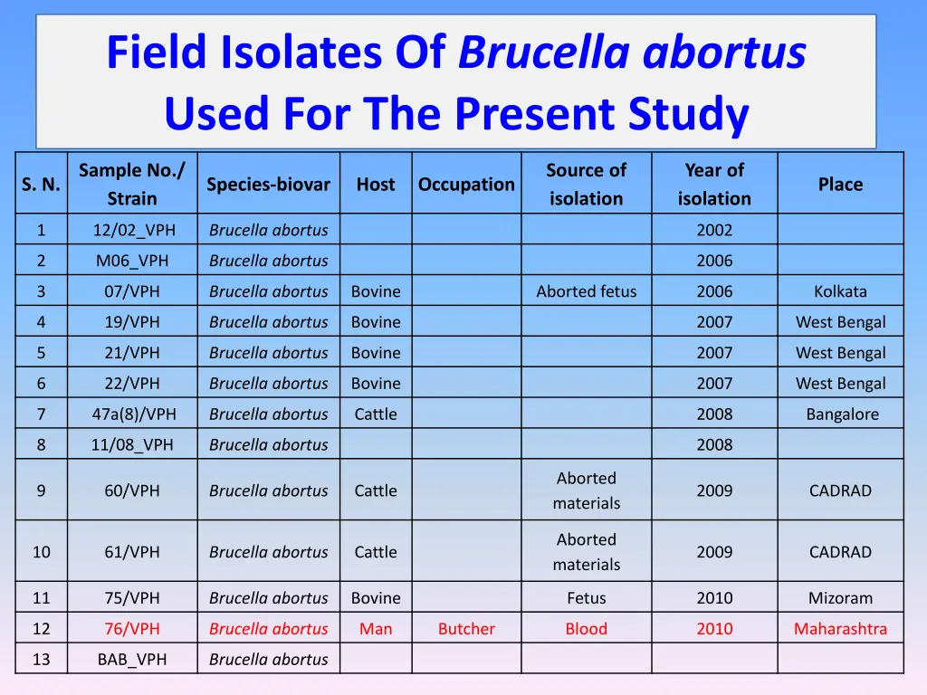 field isolates of brucella abortus used