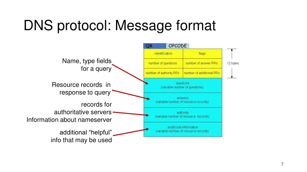 dns protocol message format 1