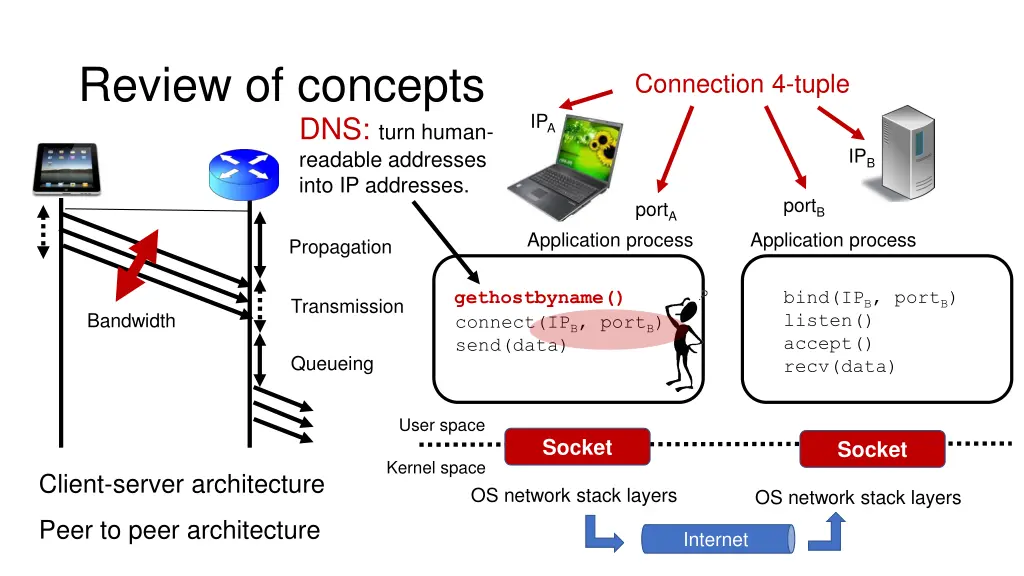 review of concepts