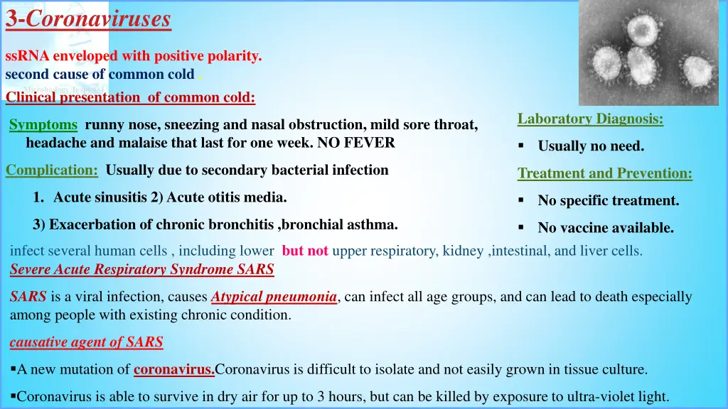 3 coronaviruses