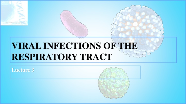 viral infections of the respiratory tract