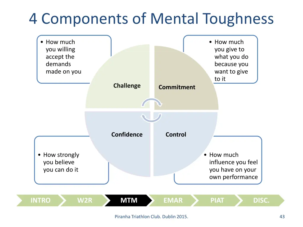 4 components of mental toughness