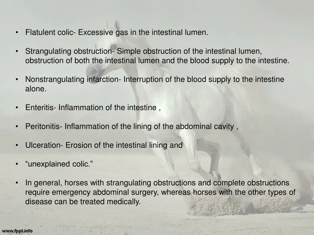 flatulent colic excessive gas in the intestinal