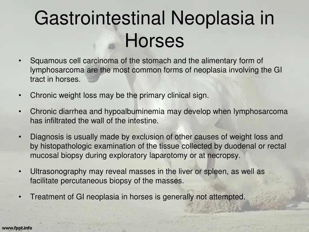 gastrointestinal neoplasia in horses